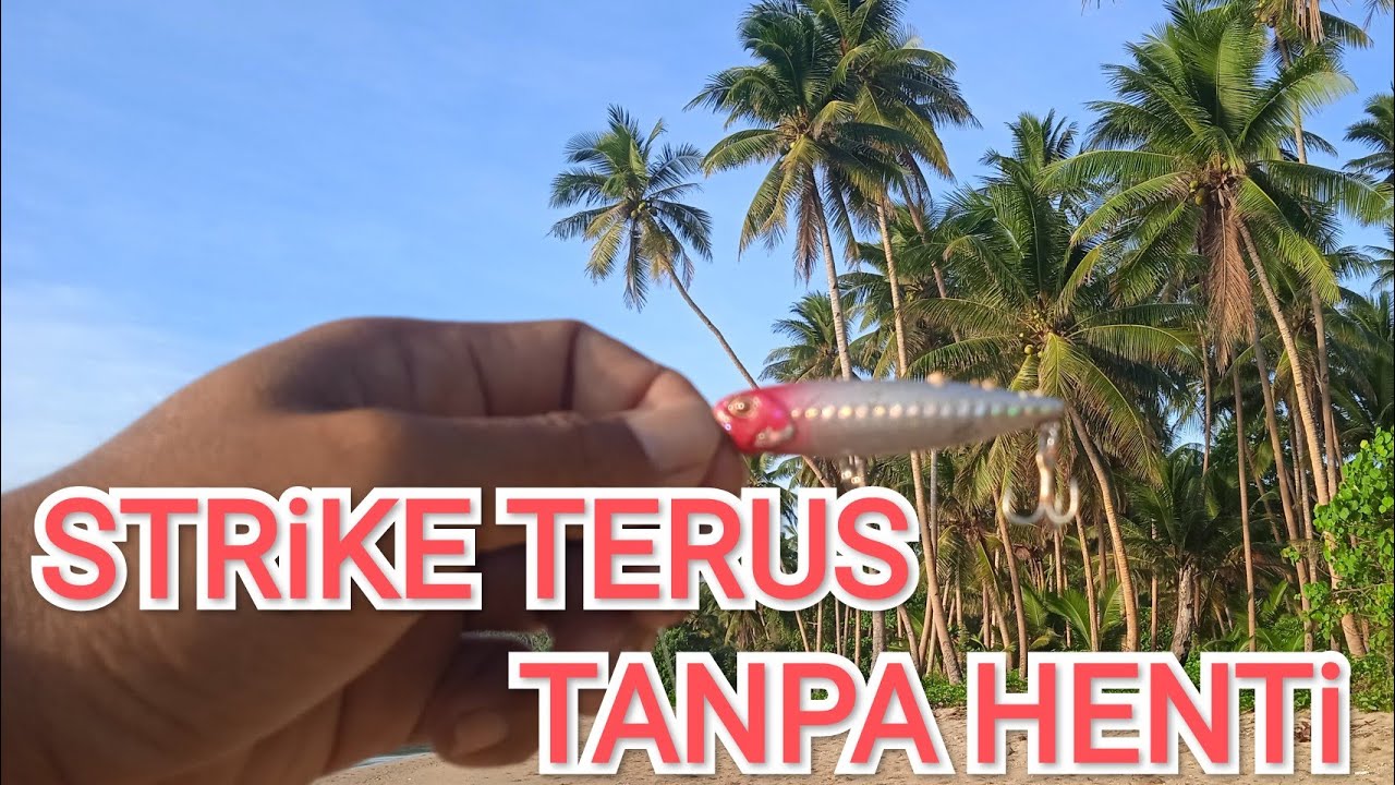 BERBURU IKAN GT DI PAGI HARI.