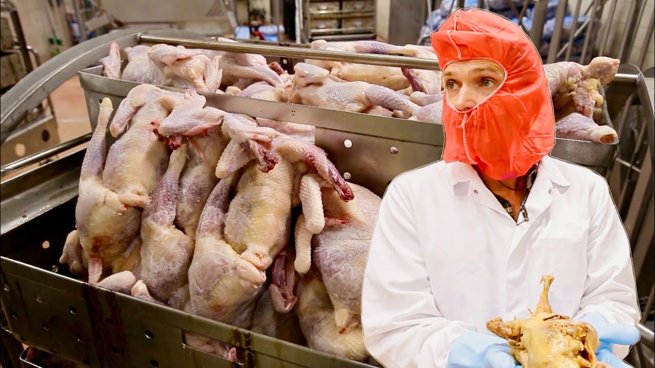 Így készül a zacskós leves és a leveskocka