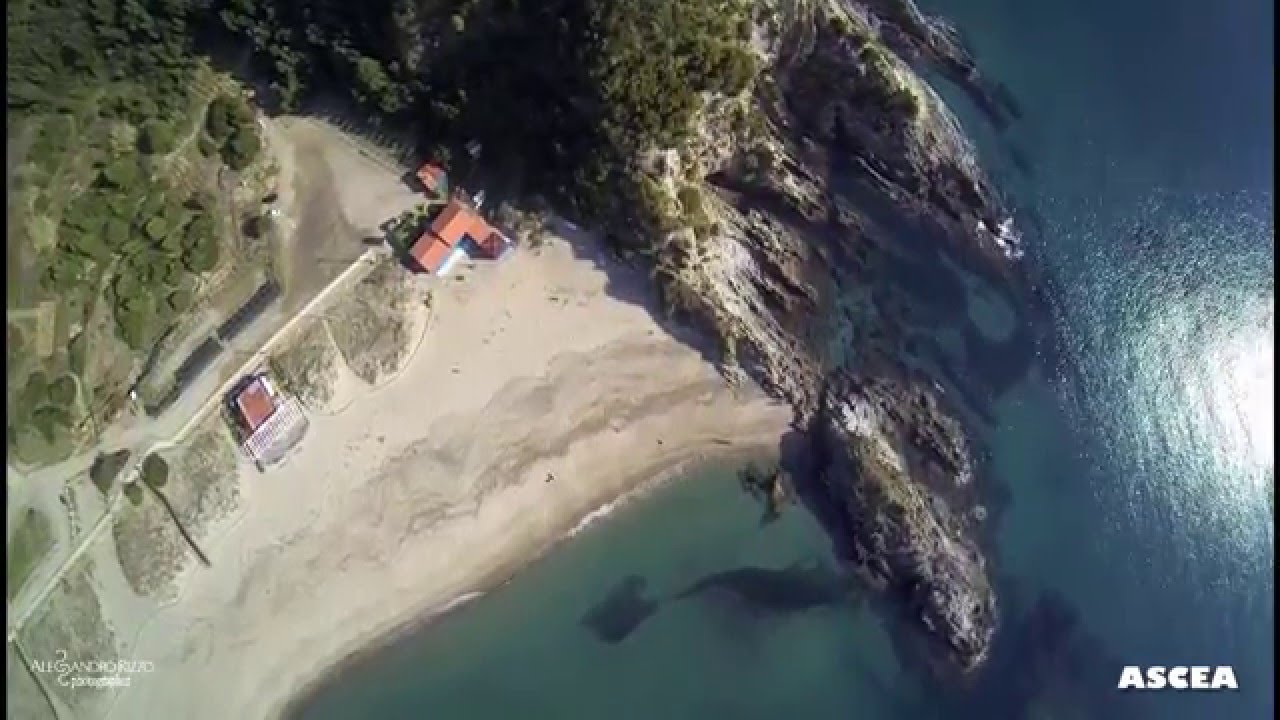 Happy 2016  from ASCEA BEACH