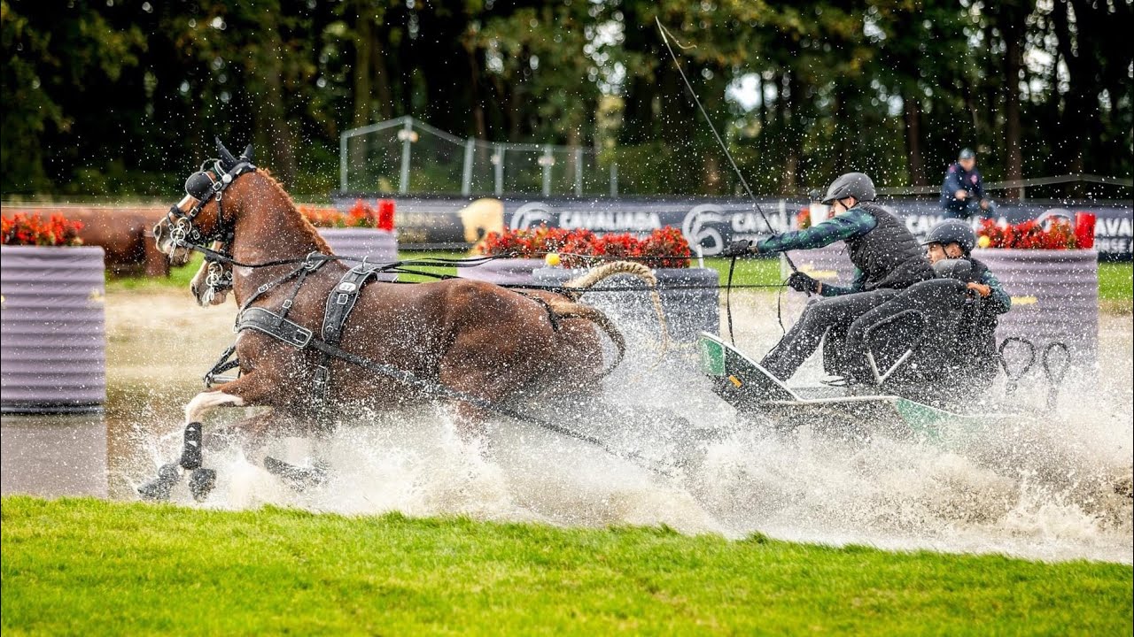 Aleksander FULARCZYK | WINNING ROUND | CAIO 4* H2 | MARATHON | Baborówko Driving Show 2024