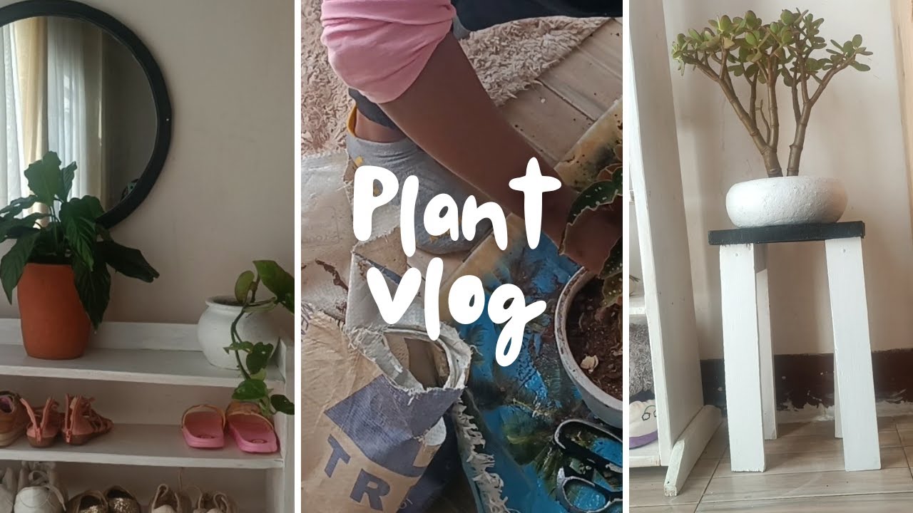 #7 NEW ✨Plant mom diaries| Creative  plant display ideas for a cozy home 🏡💚