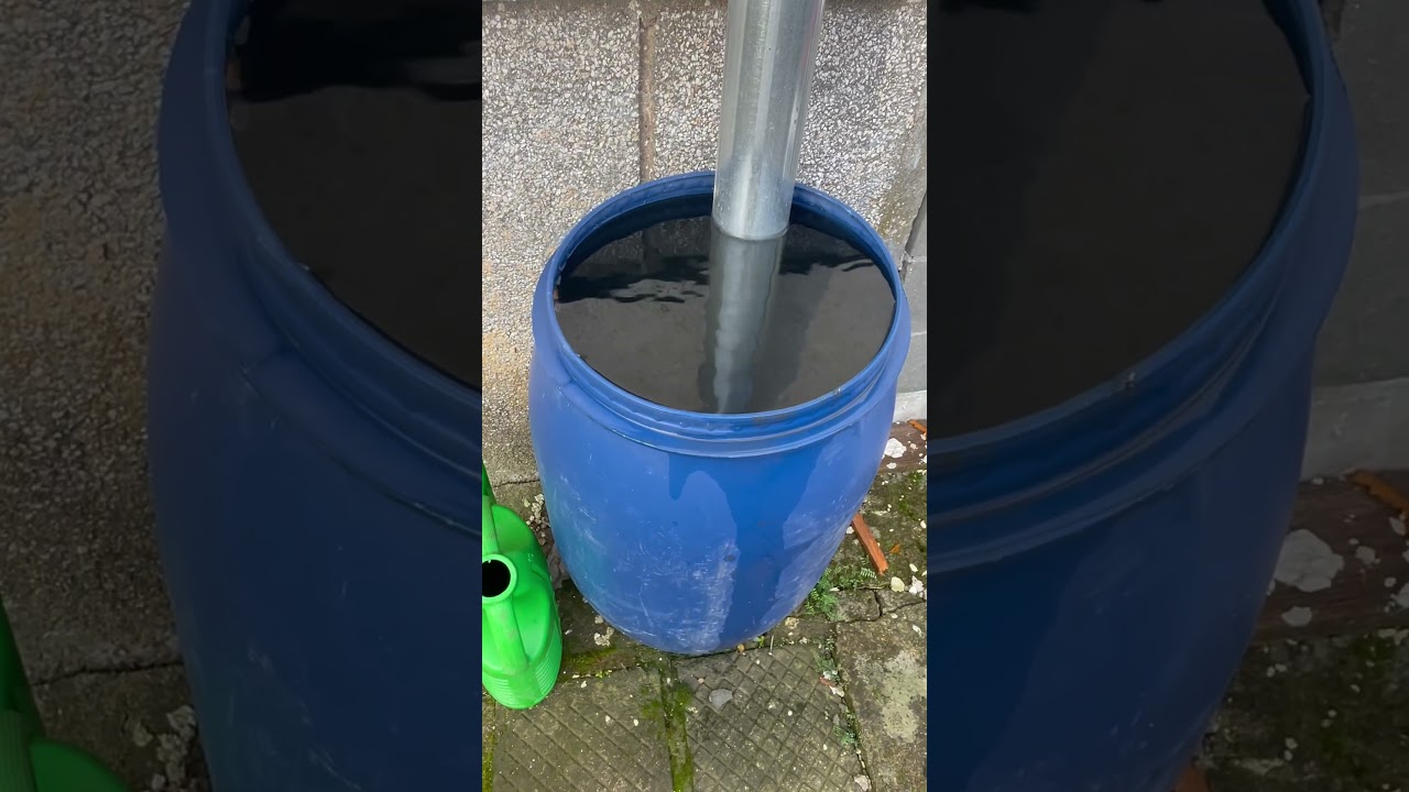 Болгария. Наверное всё залил#schort #shortvideo