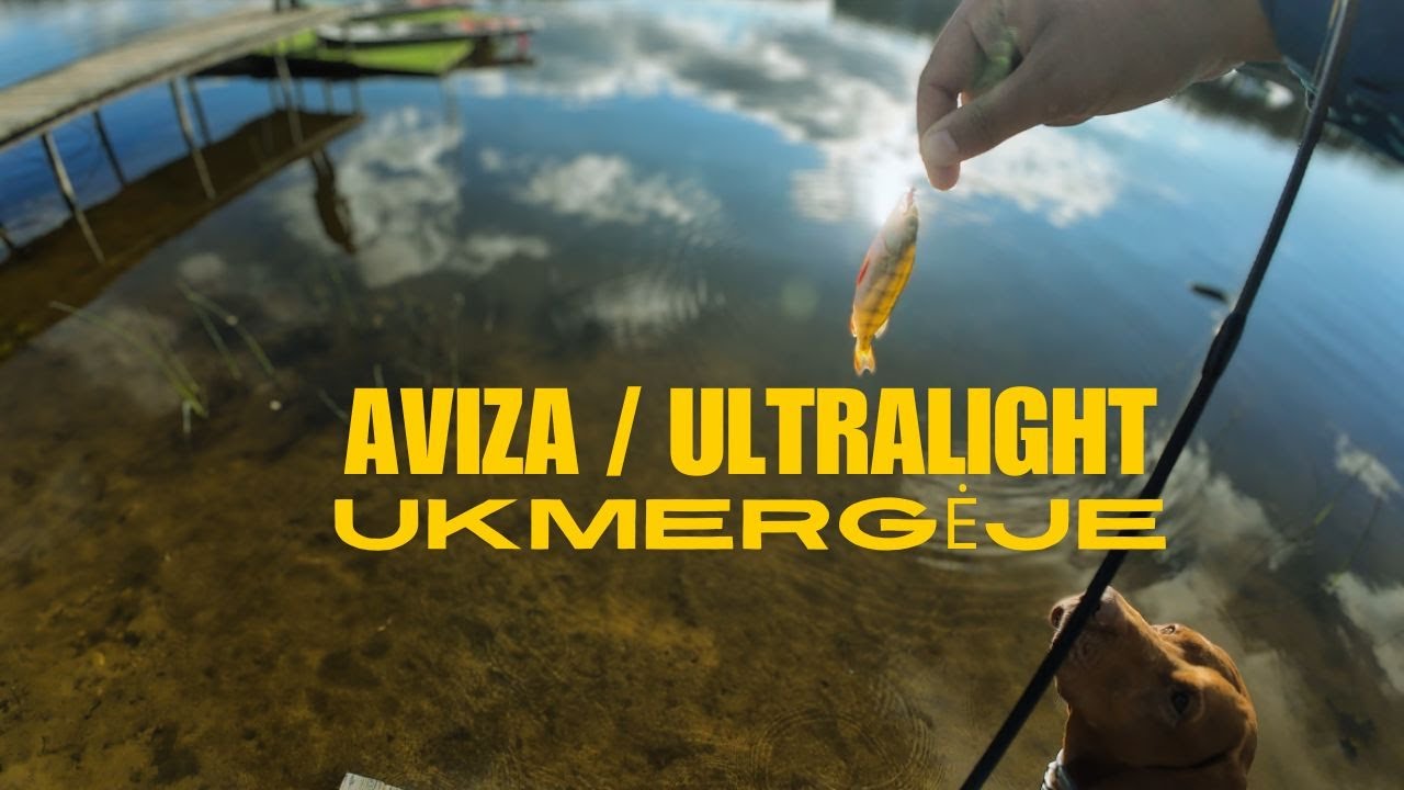 Avizadrebis #11: Smagūs Momentai  iš Žvejybos Ukmergėje! KAS LAIMĖJO AZURA??