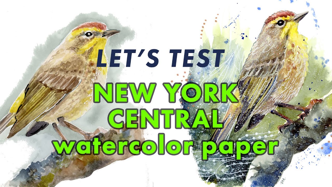 Let's Test New York Central Watercolor Paper - Hot and Cold Press