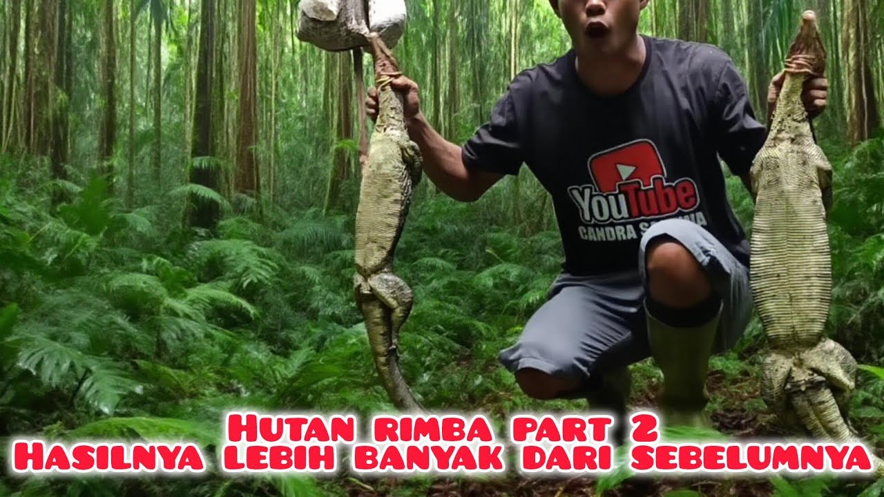 Hutan rimba part 2, rekor 13 ekor biawak monster @Candrasadewaa 
