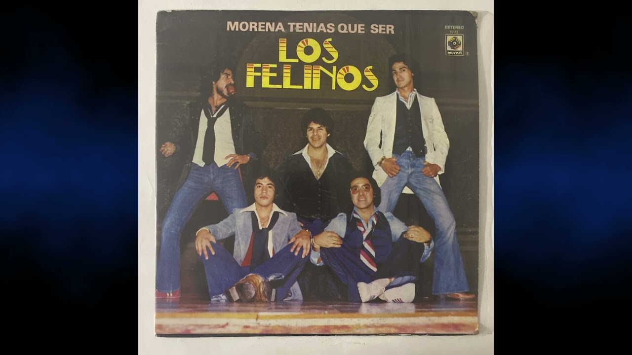 B3 - Homenaje a Los Que Se Fueron (Los Felinos)