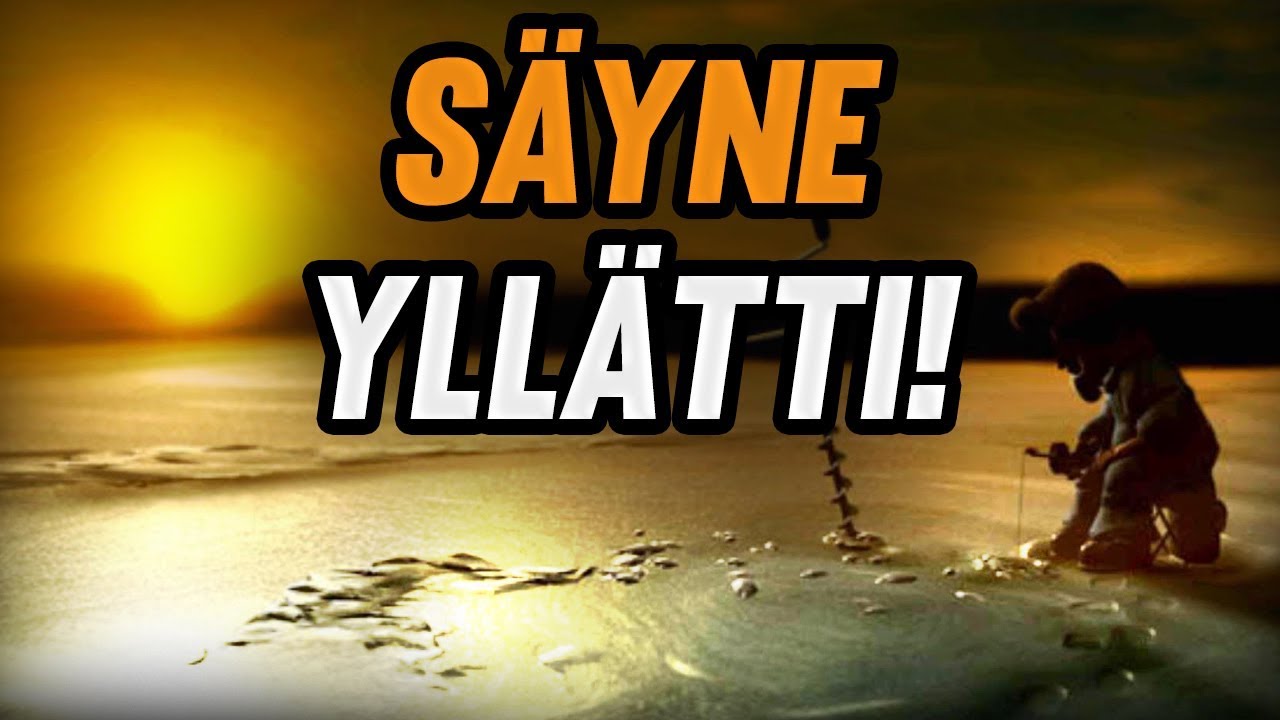 Pro Pilkki 2 | Säyne Yllätti!