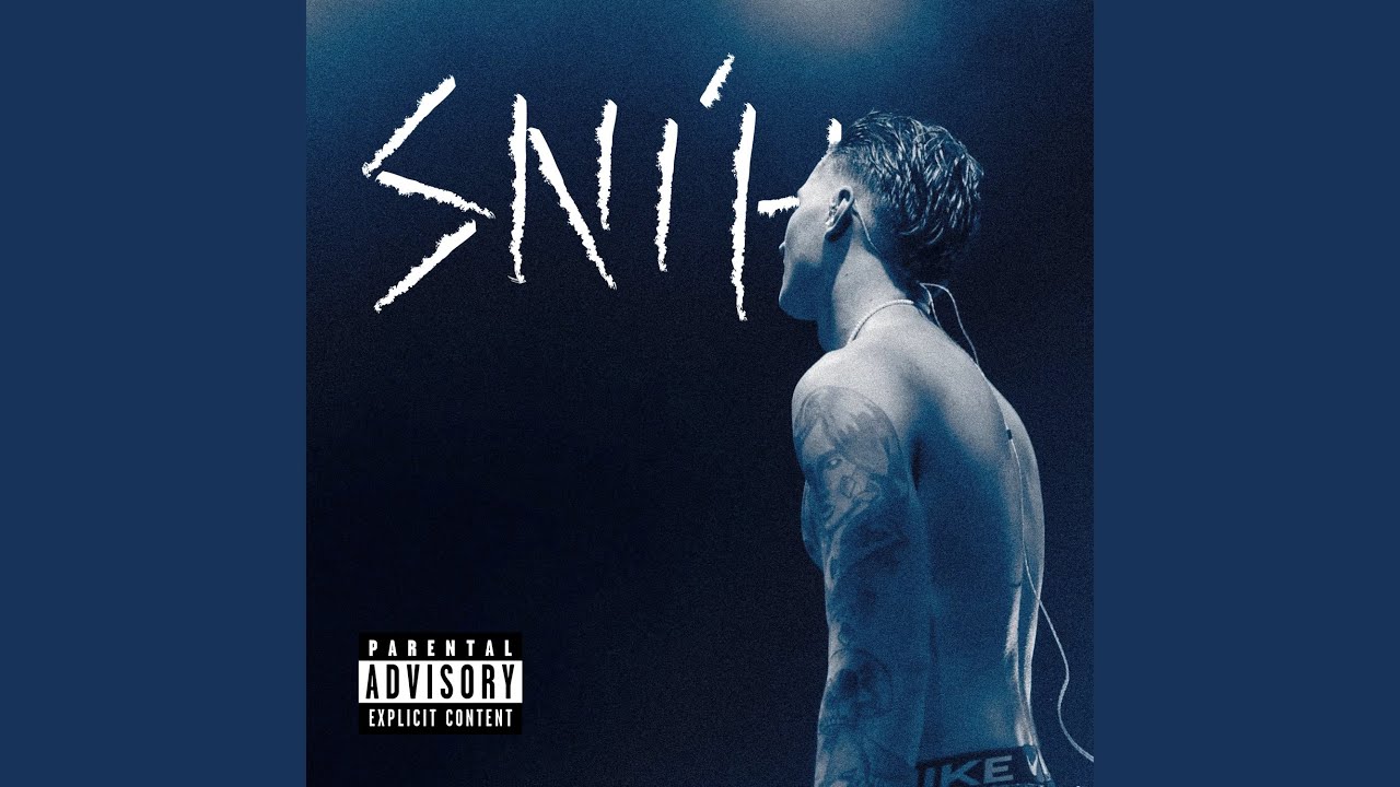 Sn&iacute;h