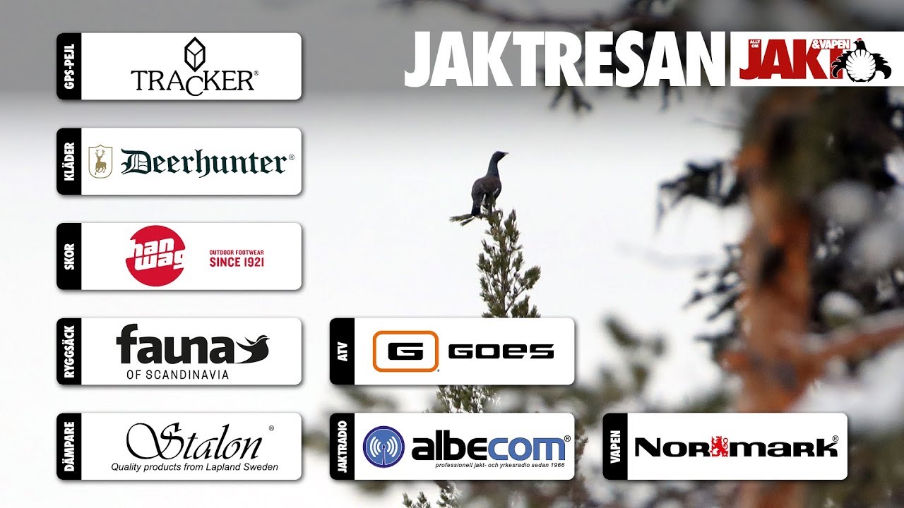 Jaktresan: Toppf&aring;geljakt i &Auml;lvdalen