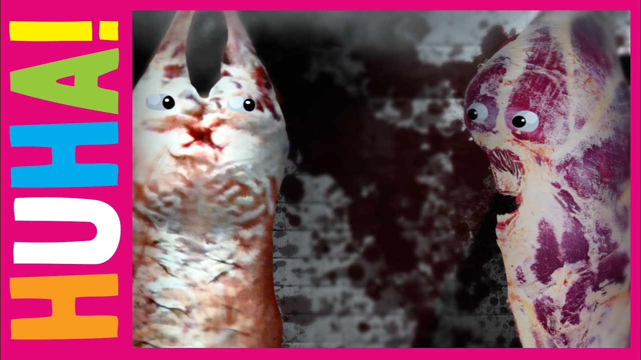 Haunted Meat Place | Mr Weebl Original