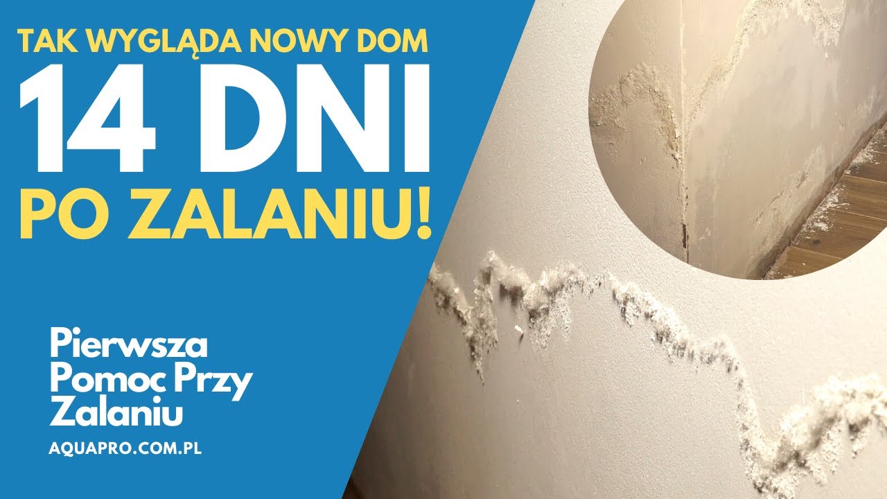 NOWY DOM 14 dni PO ZALANIU - osuszanie wykwit&oacute;w na ścianach!