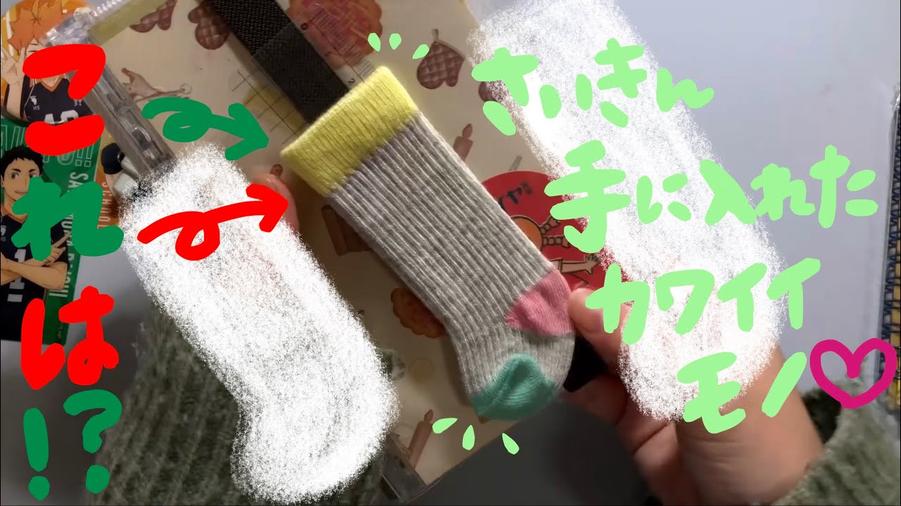 【オタクの手帳タイム】最近の購入品紹介&いつものデイリー作り！