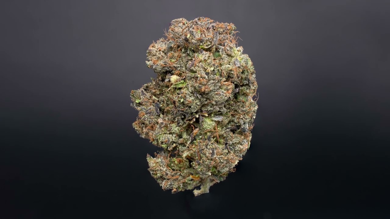 Comatose OG