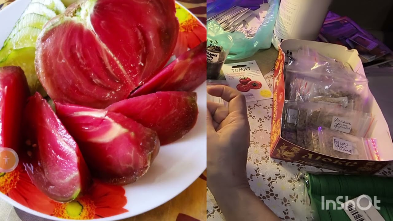 Выбираю гномов для посева🌱🍅 Немного о покупках!