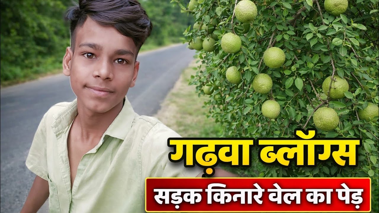 11वाँ ब्लॉग | सड़क किनारे बेल का पेड़ | गढ़वा व्लॉग्स | गाँव की लाइफ व्लॉग