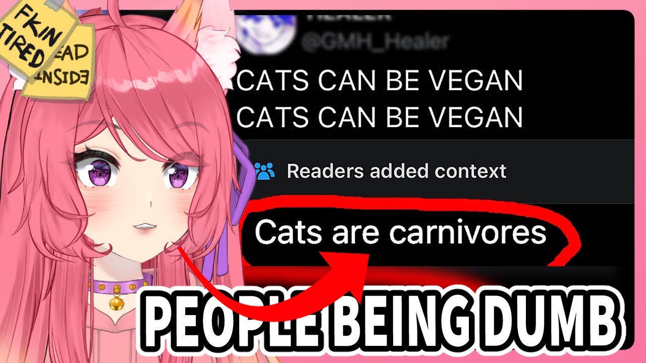 Kitsu reacts to Community Notes Violating People | Vtuber Reacts to Memes
