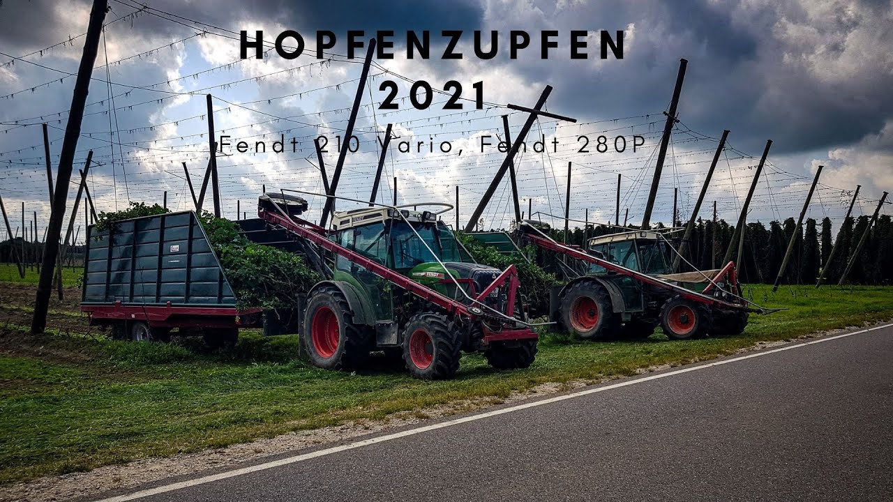 HD_Hopfenzupfen mit zwei Fendt Traktoren