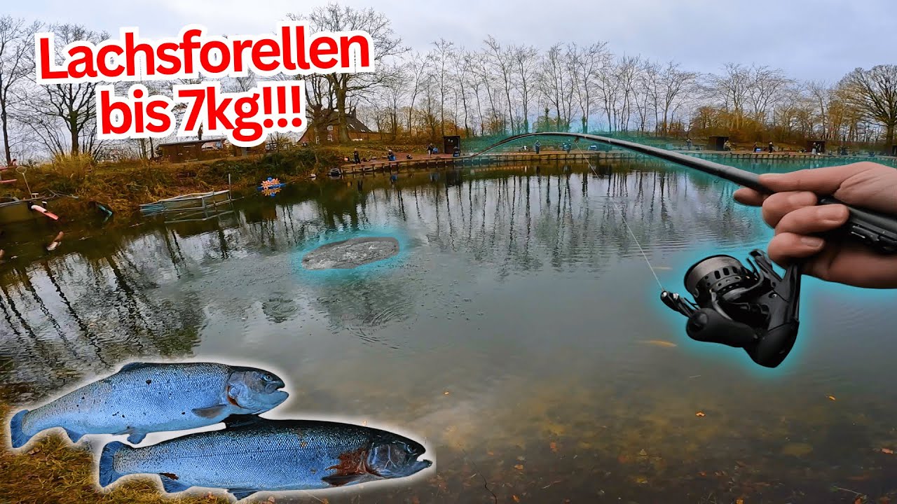 Harte Momente, große Gefühle beim Forellenangeln – Lachsforellen bis 7kg und ein schwerer Tag