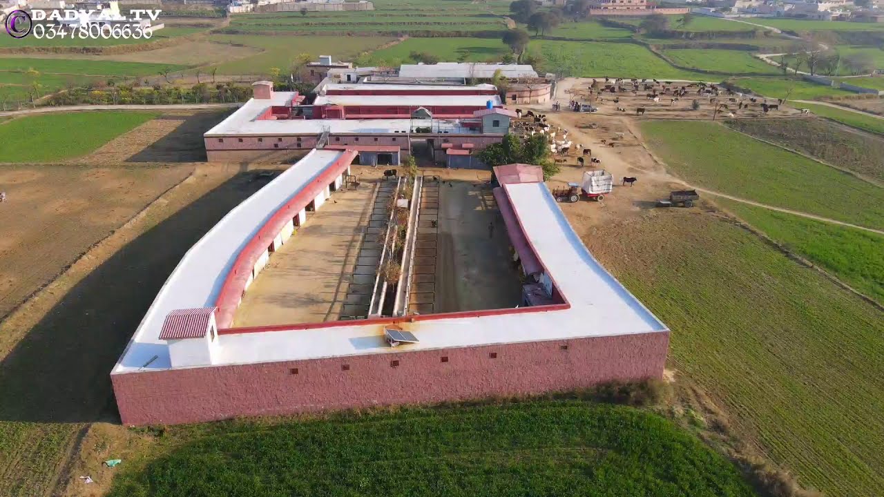 diwan farm bewal pothwar