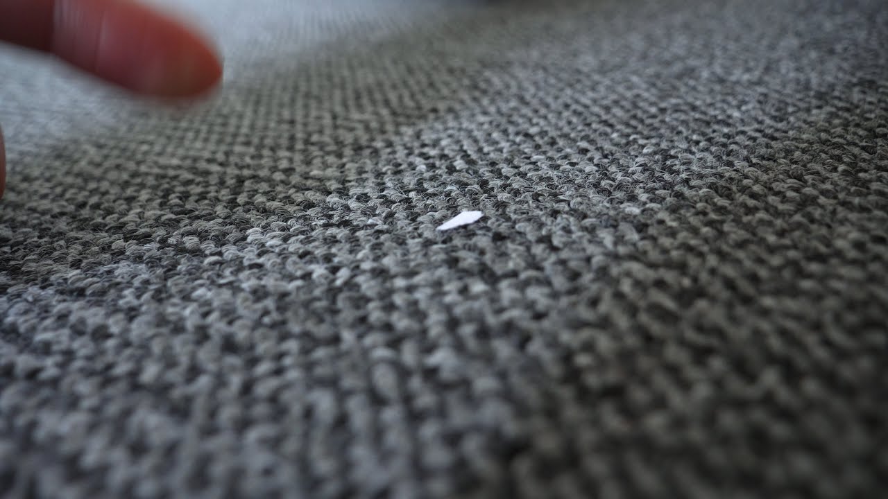 Thing on my carpet
