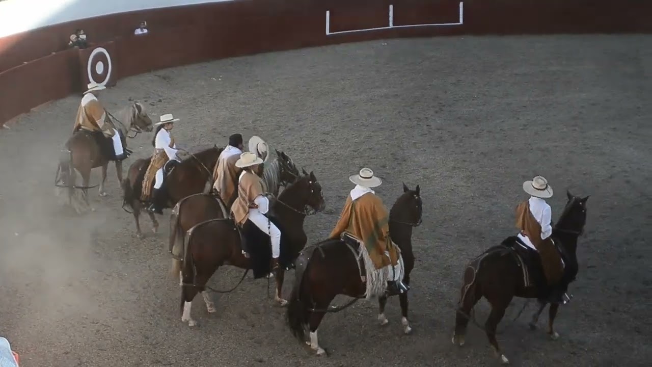Concurso de Chalanes - Caballos de Paso - San Pedro de Cajas - CHALANES 30 DE JUNIO 2023