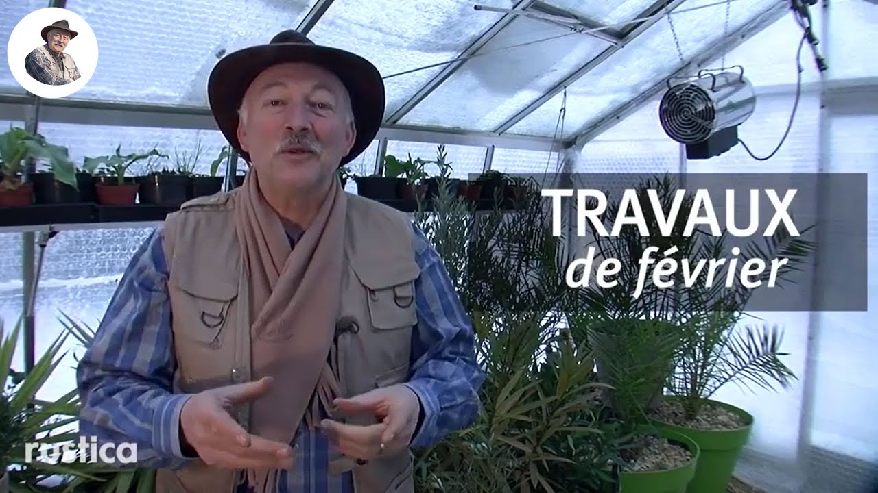 Que faire en février au jardin