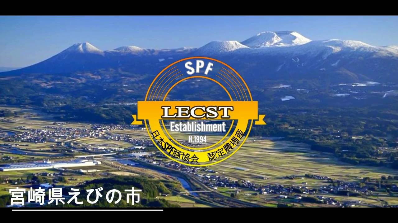 ㈲レクスト　企業PV