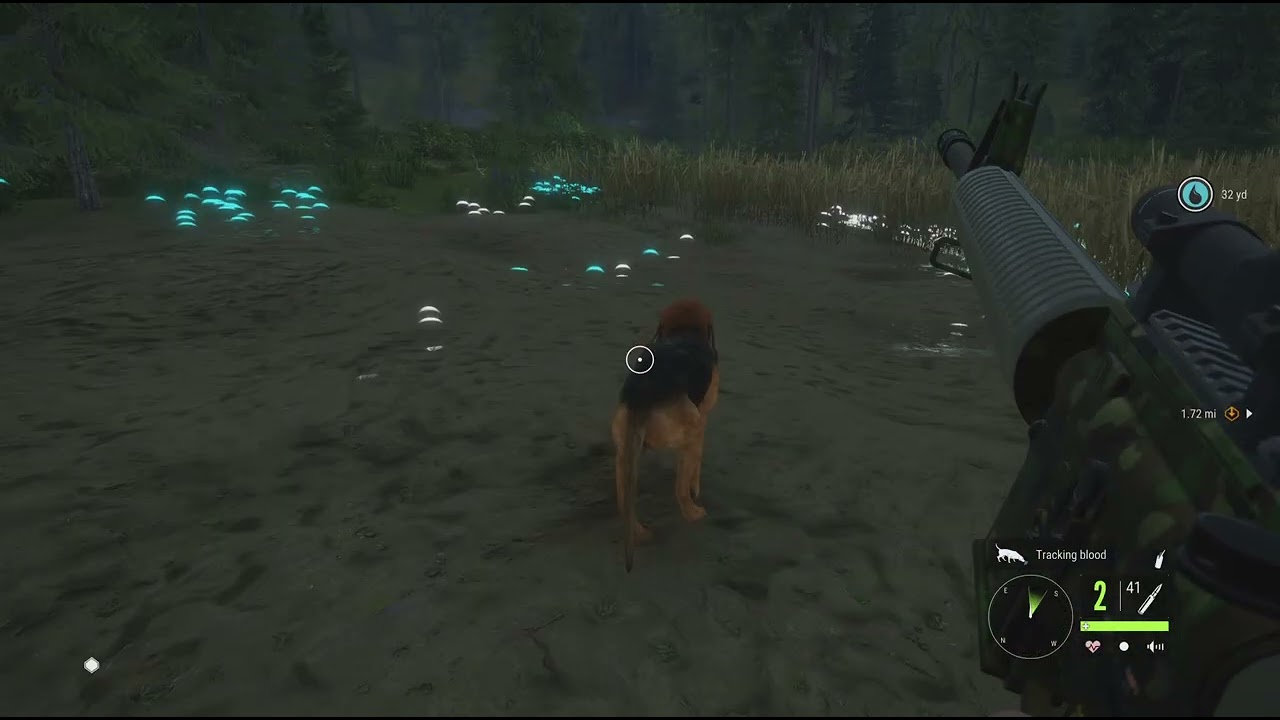 Hunten call of the wild