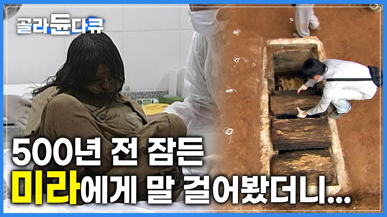 수천년 기록을 간직한 생명체 미라에게 말걸다! │역사의 죽은 증인 미라│다큐프라임│원더풀사이언스│#골라듄다큐