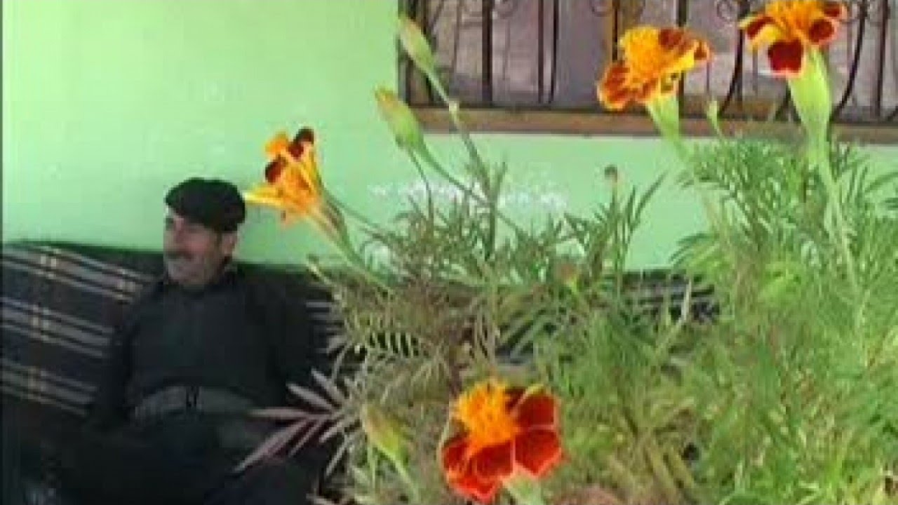Laqırdıyen Kurdi Cemil Hosta 2008 - HATUNTİYA PERİŞAN Kürtçe Komedi 1.Bölüm -Laqırdi Kurdi- Lagırti