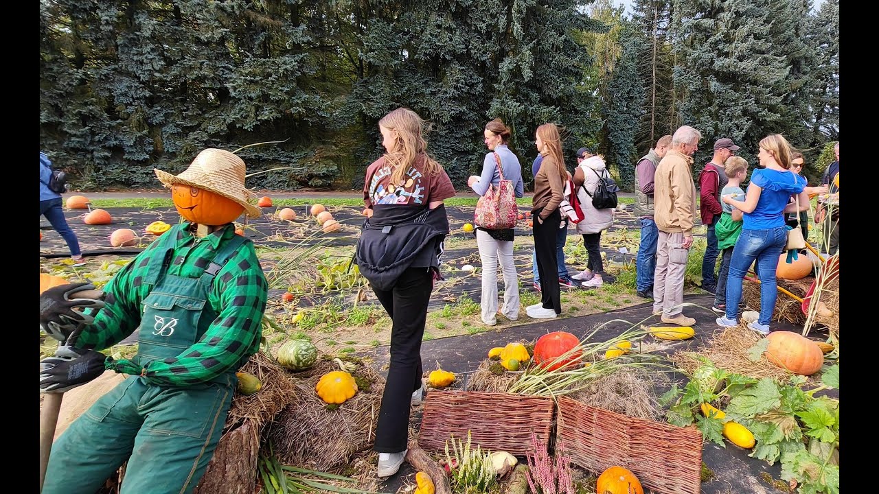🎃 1cz. Ogród Botaniczny w Powsinie - oprowadza Pani Ewa Napiórkowska /dynie 14.X.2023r