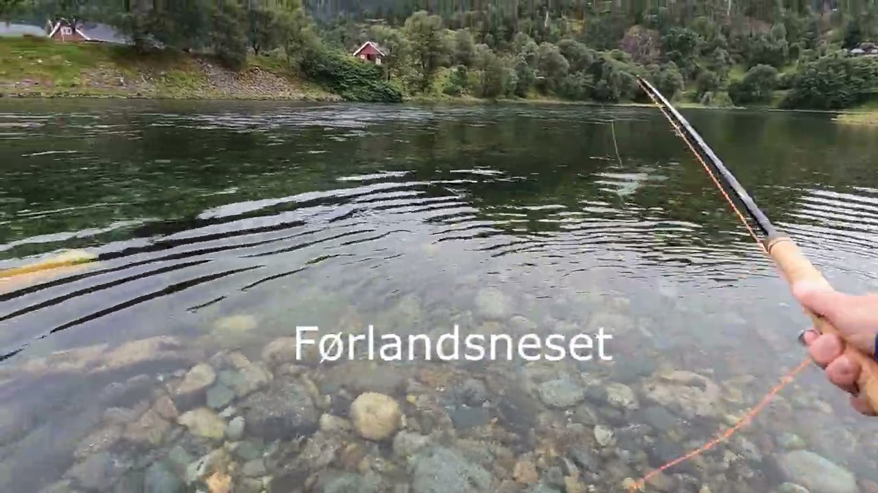Sesongen 2022