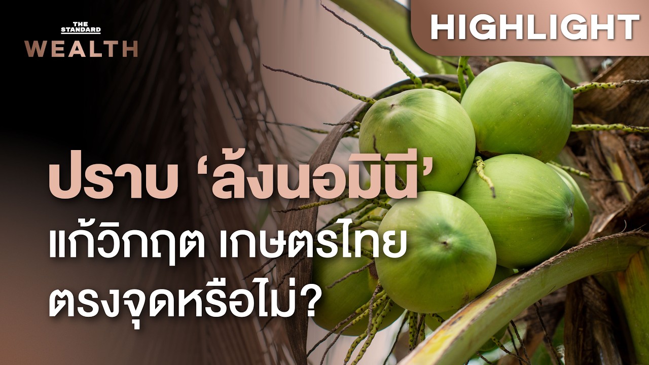 วิเคราะห์มาตรการแก้วิกฤตราคา ‘มะพร้าวน้ำหอม’ กัน ‘ล้งนอมินี’ มาถูกทางแค่ไหน | THE STANDARD WEALTH
