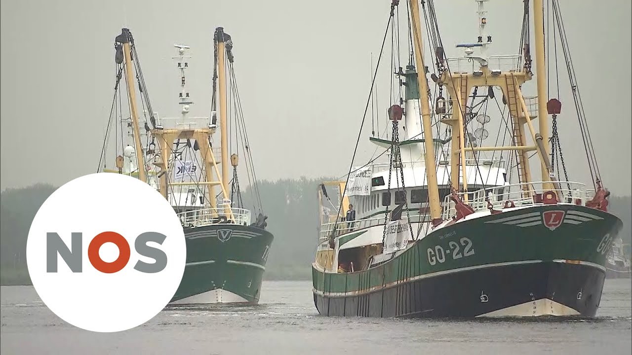 VISSERS: 'Straks hebben we een dode zee'