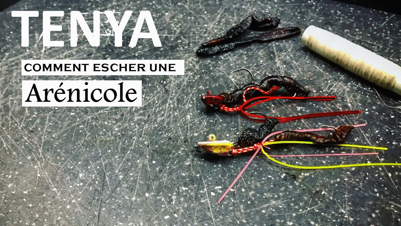 TENYA - Comment ESCHER une Arénicole