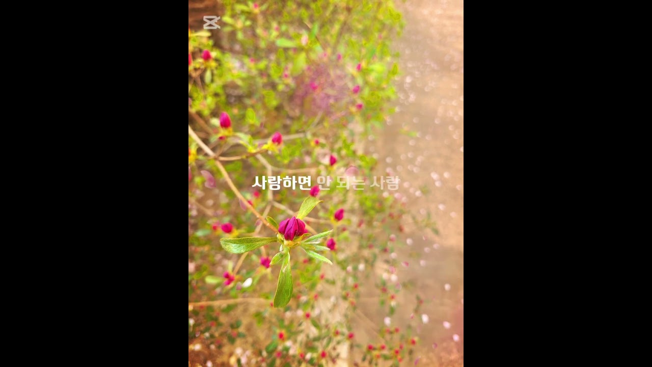 [사랑♥︎이별Playlist] 닿으면 안 되는 사람