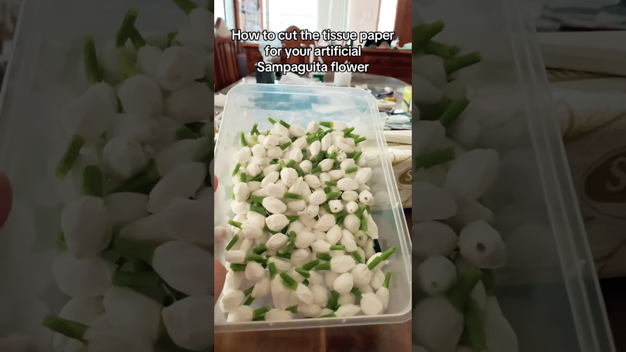 How to cut the tissue paper for your Sampaguita Flower buds decoration. Gayak para sa karosa.