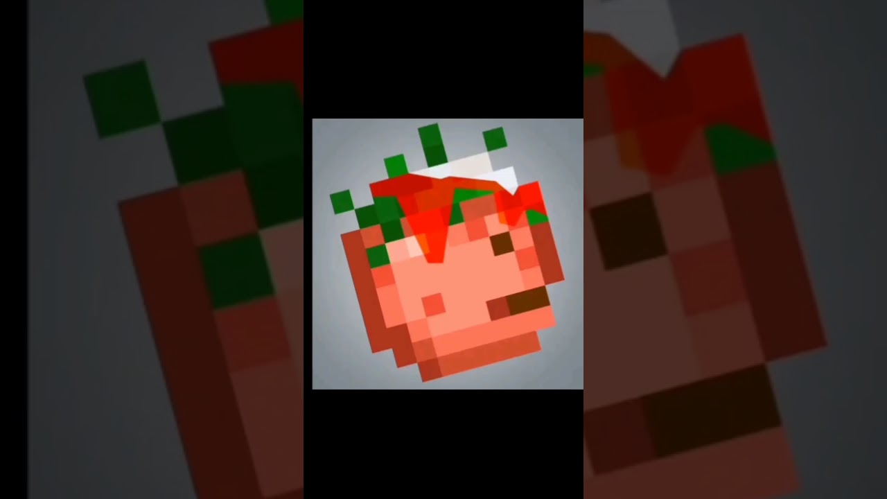 ragdoll playground vs melon sand box
