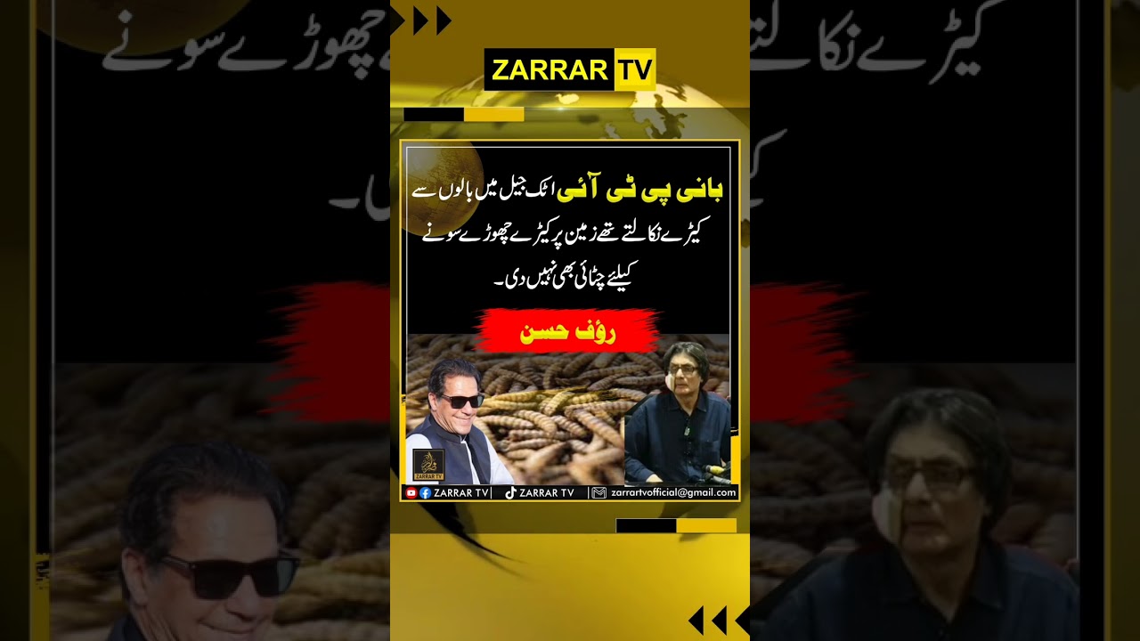 Rauf Hassan #ptioffical #pti #absolutelynot #latest