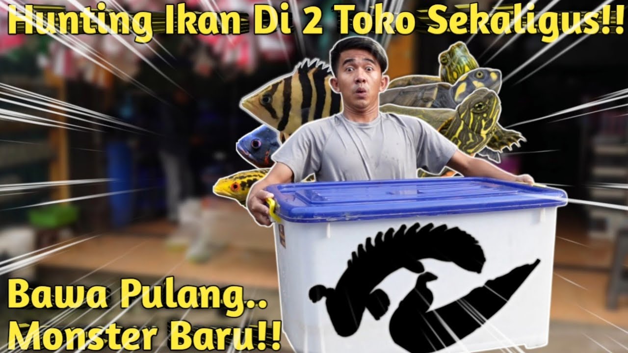 BELI IKAN MONSTER BARU! HUNTING BANYAK IKAN UNTUK JADI PENGHUNI KOLAM UJUNG