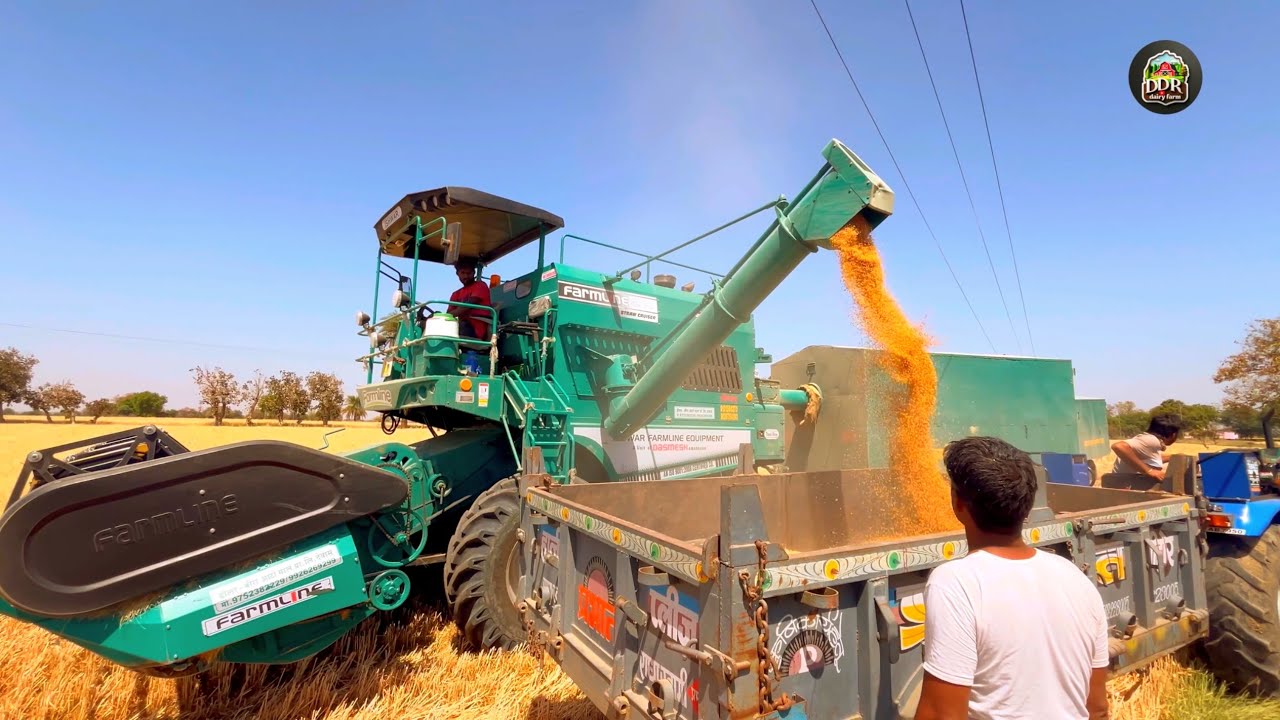 Gehu harvesting | Farmline combine Harvester #harvest