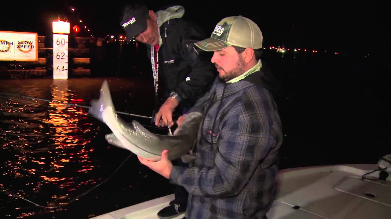 Reel Time Florida Sportsman - Monster Nighttime Snook