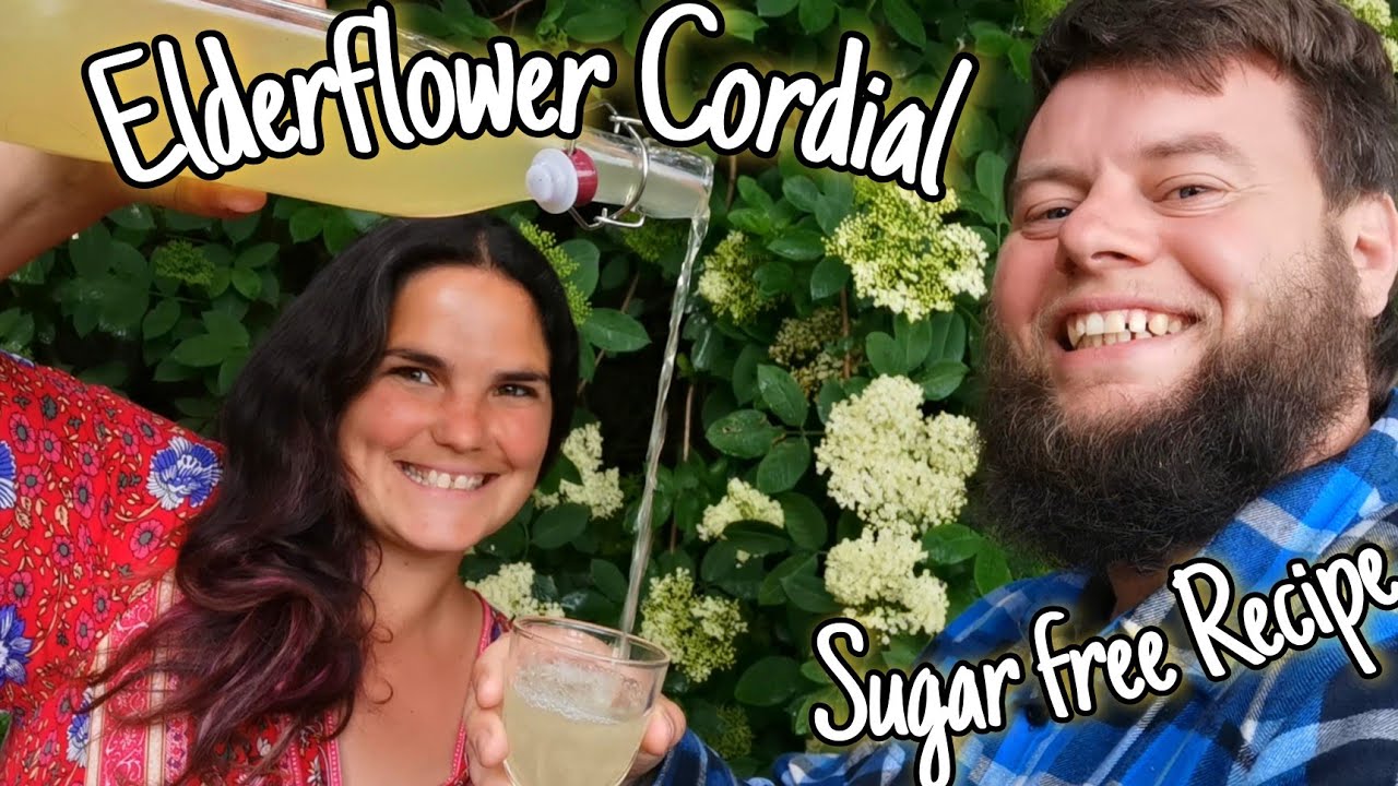 Sugar Free Elderflower Cordial Recipe💮