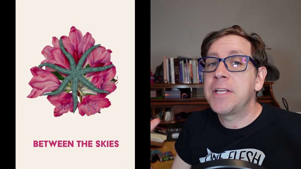 Between the Skies - Collected Hardcover Edition Review