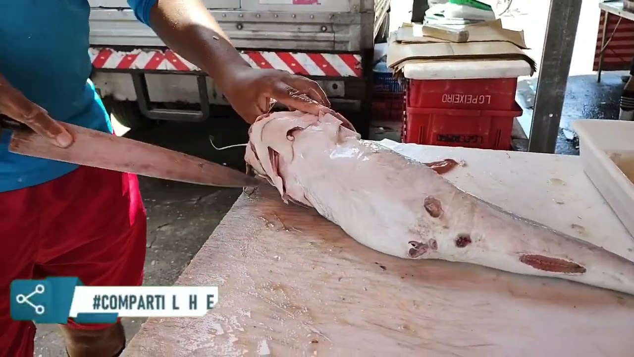 COMO SE LIMPA UM BAGRE RÁPIDO...!?