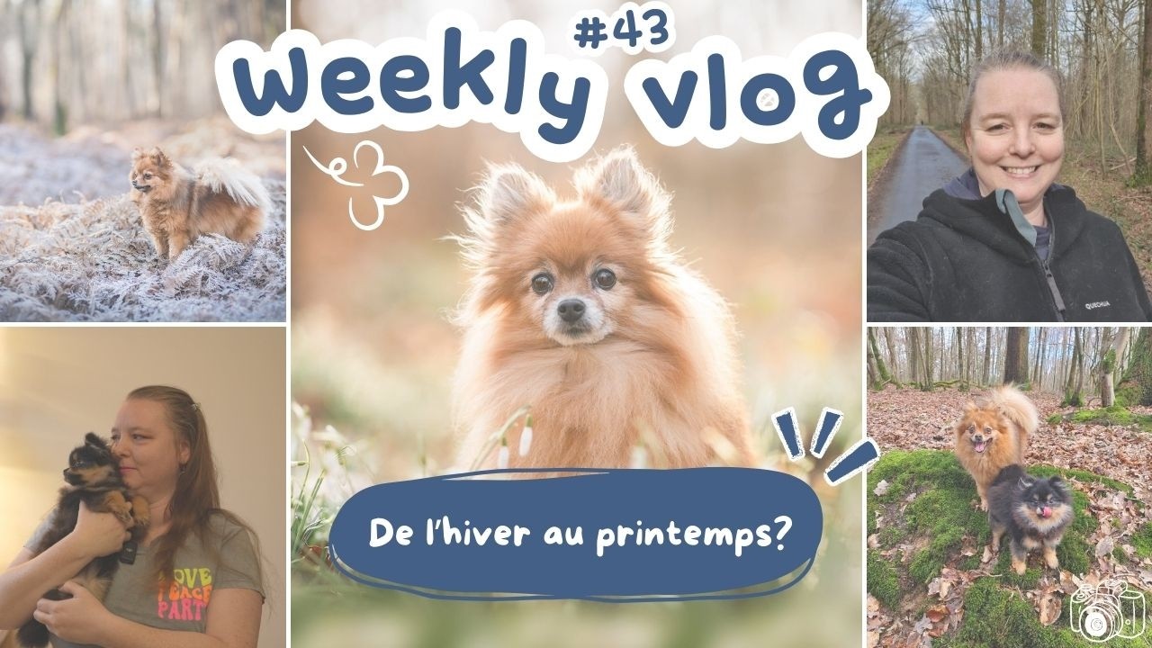 Weekly vlog #43 : Nouvelle caméra et neige surprise?