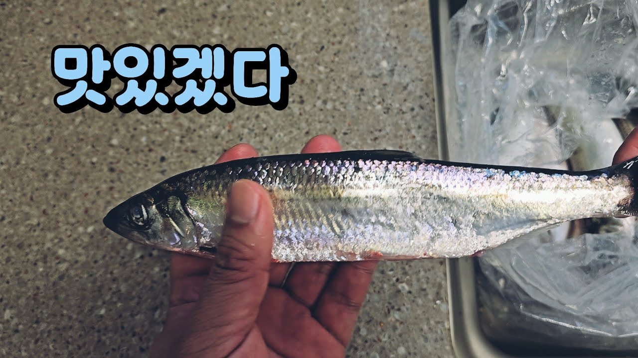 등이 푸르르지만 속은 붉은 녀석을 무쳐보자