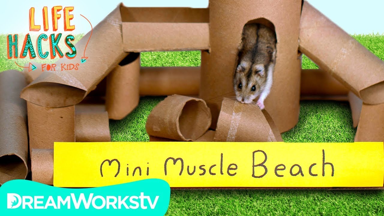 Hamster Jungle Gym + Other Small Pet Hacks | LIFE HACKS FOR KIDS | DIY #withme
