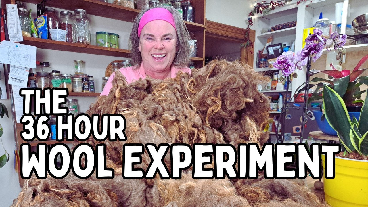 Make Money With WOOL? Experiment Processing Icelandic FLEECE For Profit?