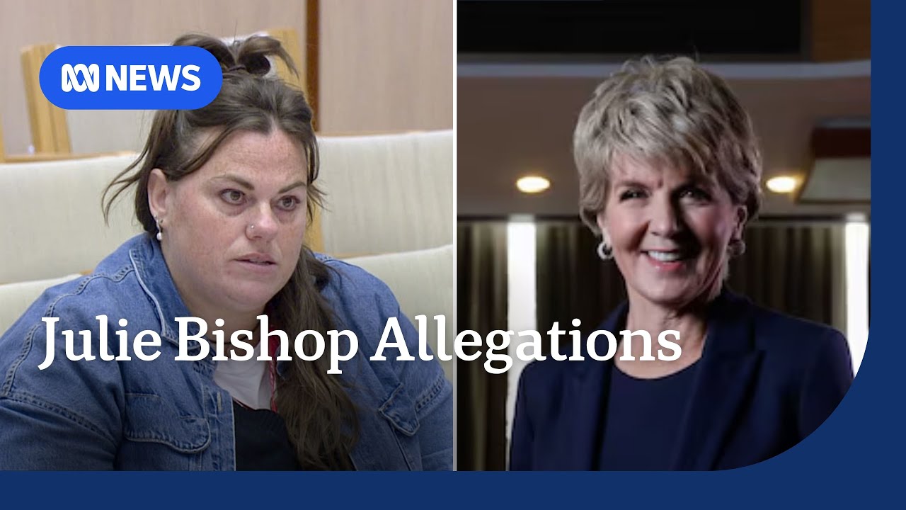 ANU academic appears at Senate inquiry and accuses Julie Bishop of bullying | ABC NEWS